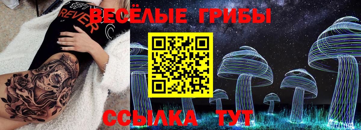Галлюциногенные грибы Cubensis  Вход с VPN  Старая Купавна 